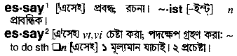 essay meaning bengali